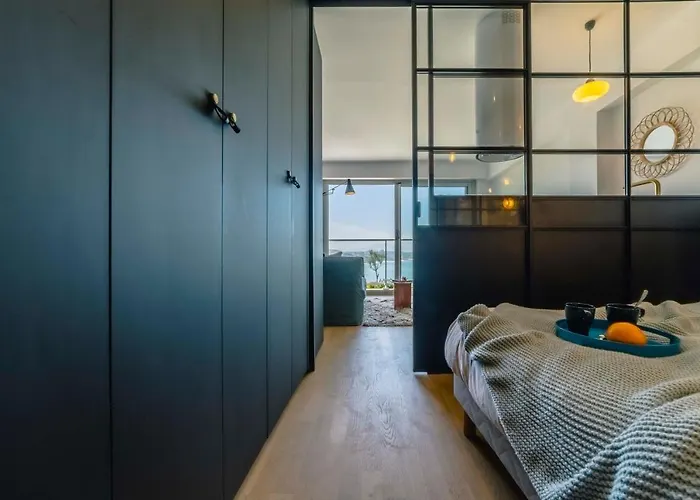 公寓 Alaena, Vue Imprenable Sur L'ocean 比亚里茨